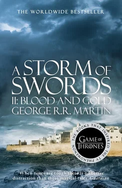 George Martin A Storm of Swords. Part 2 Blood and Gold обложка книги