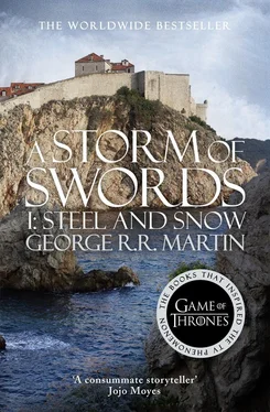 George Martin A Storm of Swords. Part 1 Steel and Snow обложка книги