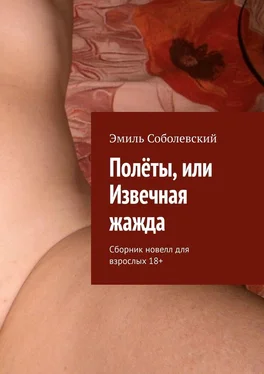 Эмиль Соболевский Полеты, или Извечная жажда. Сборник новелл для взрослых обложка книги