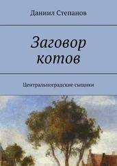 Даниил Степанов - Заговор котов. Центральноградские сыщики