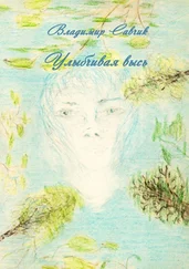 Владимир Савчик - Улыбчивая высь