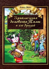 Алиса Мэтт - Приключения домовенка Тимы и его друзей. Фантастическая сказка
