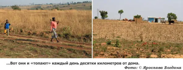 Государственные агрофирмы и немногочисленные частные товарные хозяйства - фото 20