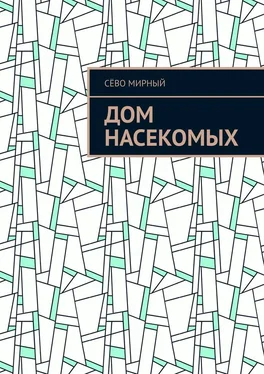 Сёво Мирный Дом насекомых обложка книги