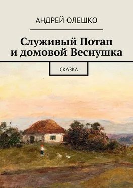 Андрей Олешко Служивый Потап и домовой Веснушка. Сказка обложка книги