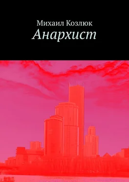 Михаил Козлюк Анархист обложка книги