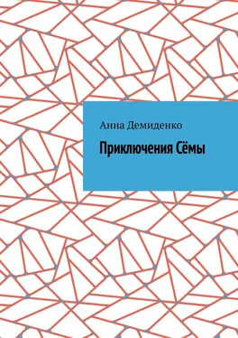 Анна Демиденко Приключения Сёмы обложка книги