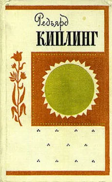 Редьярд Киплинг Безумие рядового Ортериса обложка книги