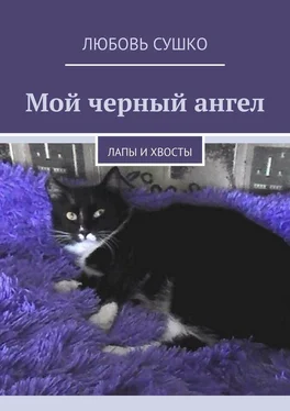 Любовь Сушко Мой черный ангел. Лапы и хвосты обложка книги