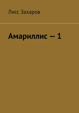 Лисс Захаров Амариллис – 1. Полное содержание обложка книги