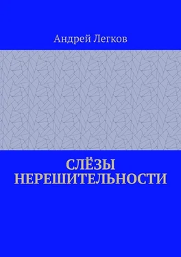 Андрей Легков Слёзы нерешительности обложка книги