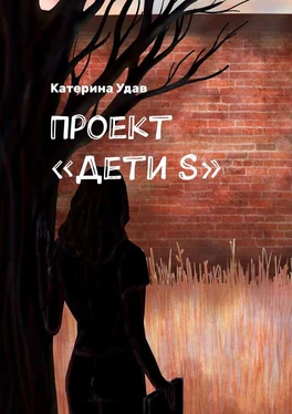 Катерина Удав Проект «Дети S» обложка книги