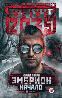 Юрий Мори Метро 2035: Эмбрион. Начало обложка книги