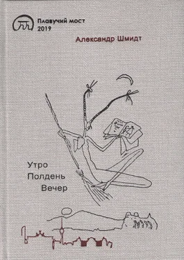 Александр Шмидт Утро. Полдень. Вечер обложка книги