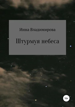 Инна Владимирова Штурмуя небеса обложка книги