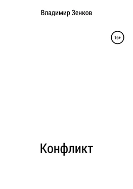 Владимир Зенков Конфликт обложка книги