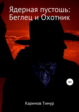 Тимур Каримов Ядерная пустошь: Беглец и Охотник обложка книги