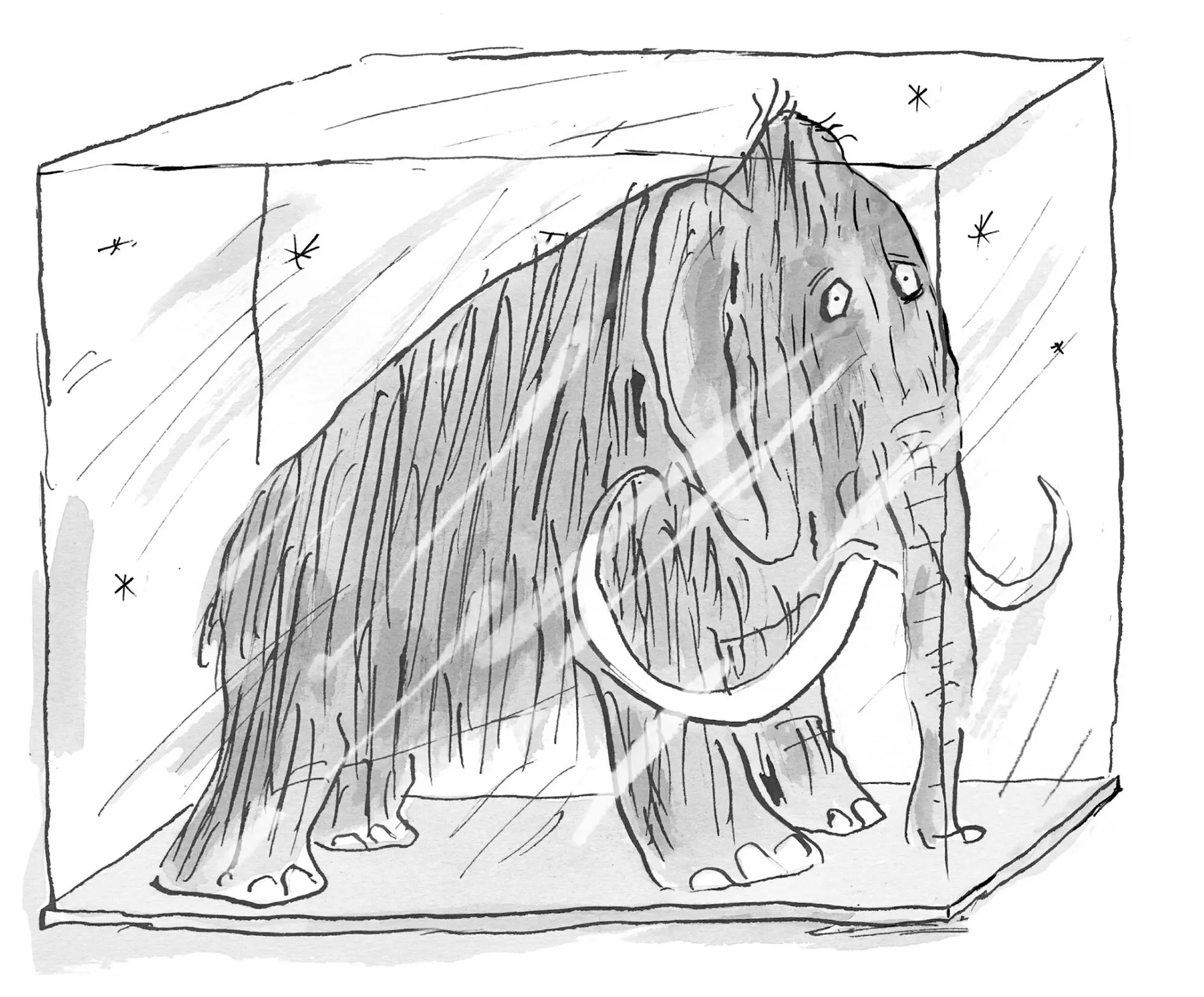 The Ice Monster - фото 24
