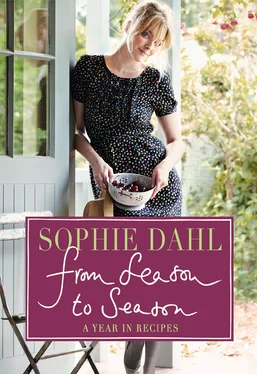 Sophie Dahl From Season to Season: A Year in Recipes обложка книги