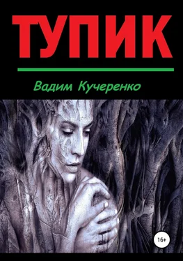 Вадим Кучеренко Тупик обложка книги