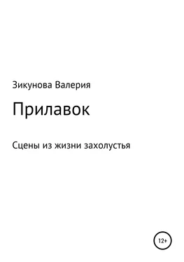 Валерия Зикунова Прилавок обложка книги