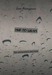 Олег Мальчихин - Мир по швам. Три игольчатых рассказа