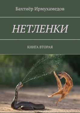 Бахтиёр Ирмухамедов Нетленки. Книга вторая обложка книги