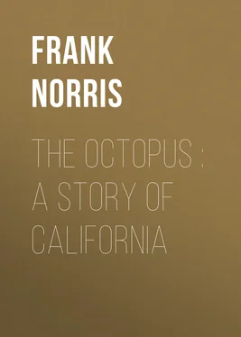 Frank Norris The Octopus : A Story of California обложка книги