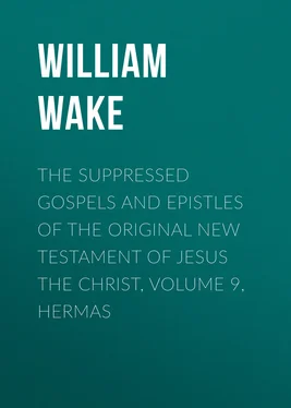 William Wake The suppressed Gospels and Epistles of the original New Testament of Jesus the Christ, Volume 9, Hermas обложка книги