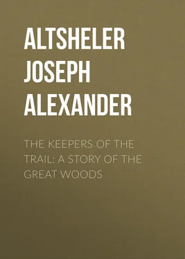 Joseph Altsheler The Keepers of the Trail: A Story of the Great Woods обложка книги