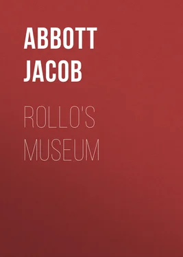 Jacob Abbott Rollo's Museum обложка книги