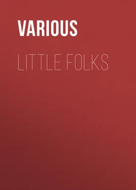 Various Little Folks обложка книги