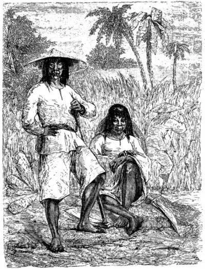 Coolies chinois à CubaDessin de Pelcoq daprès une photographie Jarrive - фото 3