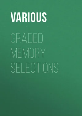 Various Graded Memory Selections обложка книги