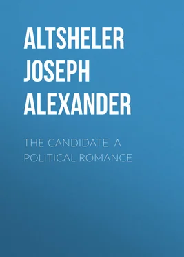 Joseph Altsheler The Candidate: A Political Romance обложка книги