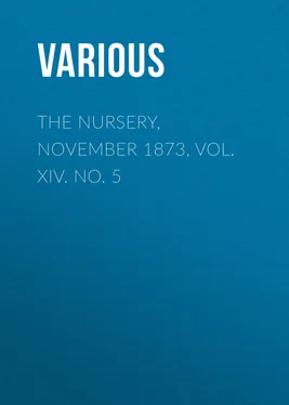Various The Nursery, November 1873, Vol. XIV. No. 5 обложка книги