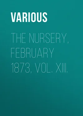 Various The Nursery, February 1873, Vol. XIII. обложка книги