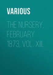 Various - The Nursery, February 1873, Vol. XIII.