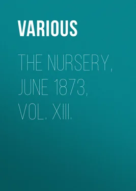 Various The Nursery, June 1873, Vol. XIII. обложка книги