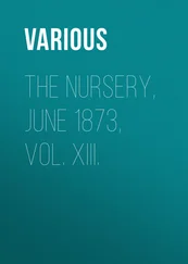 Various - The Nursery, June 1873, Vol. XIII.