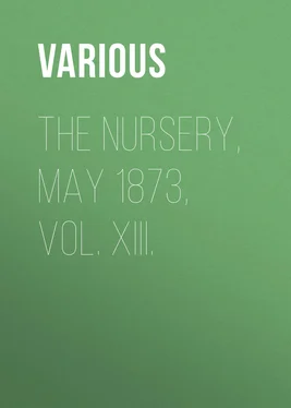 Various The Nursery, May 1873, Vol. XIII. обложка книги