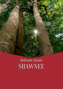 Bahram Zaimi Shawnee обложка книги