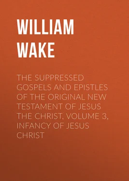 William Wake The suppressed Gospels and Epistles of the original New Testament of Jesus the Christ, Volume 3, Infancy of Jesus Christ обложка книги