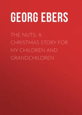 Georg Ebers The Nuts: A Christmas Story for my Children and Grandchildren обложка книги