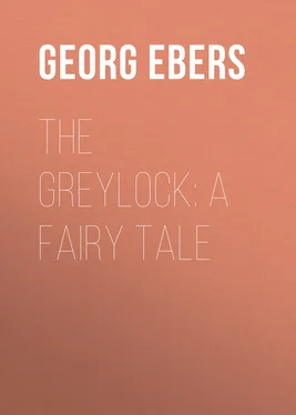Georg Ebers The Greylock: A Fairy Tale обложка книги