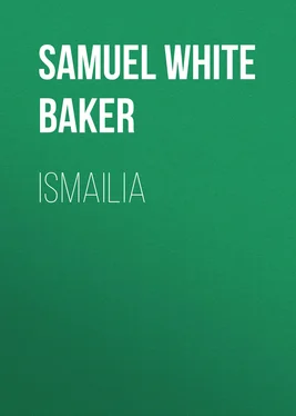 Samuel White Baker Ismailia обложка книги