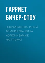 Harriet Beecher Stowe - Lukinverkkoja - Pieniä tomupiiloja jotka kotionneamme haittaavat