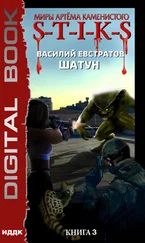 Василий Евстратов - S-T-I-K-S. Шатун. Книга 3
