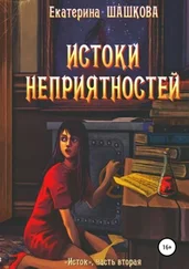 Екатерина Шашкова - Истоки неприятностей