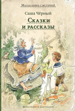 Саша Чёрный Сказки и рассказы обложка книги